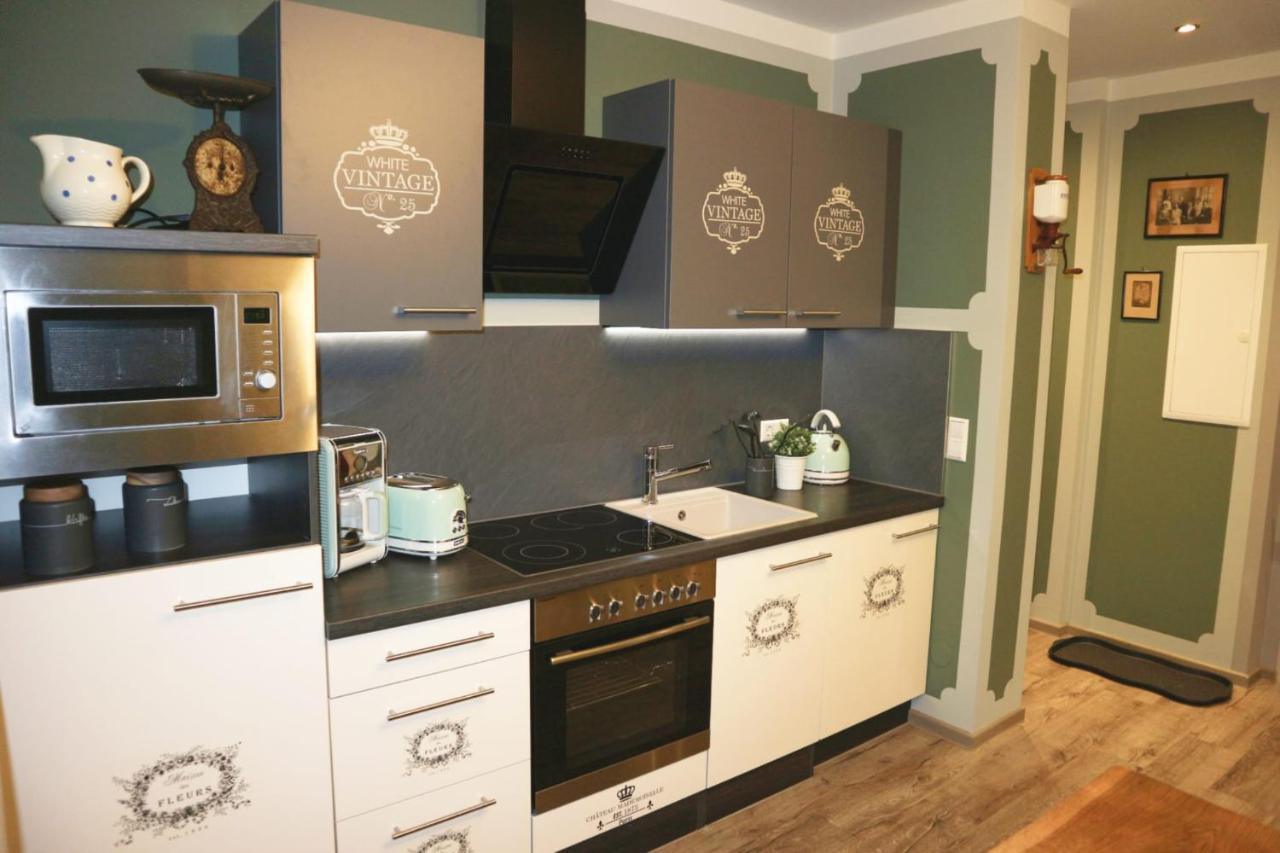 Apartment Alte Schusterei Freiberg Eksteriør bilde